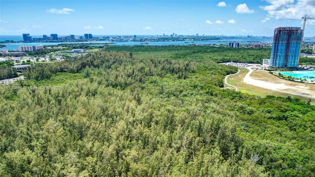view of urban area featuring a nearby body of water and a heavily wooded area