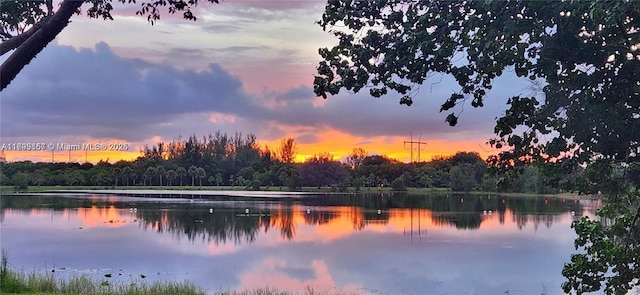16624 Greens Edge Cir Unit 75, Weston, FL 33326 - water view with a forest
