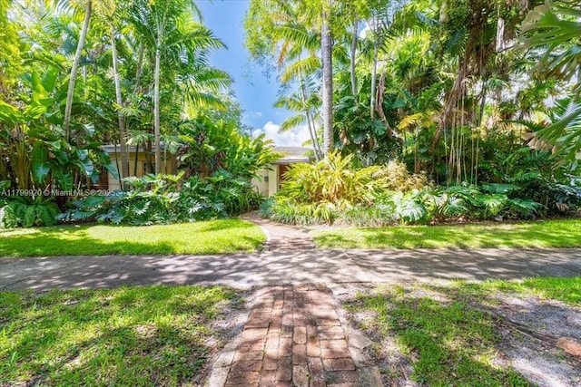 550 NE 94th St, Miami Shores, FL 33138 - photo 2