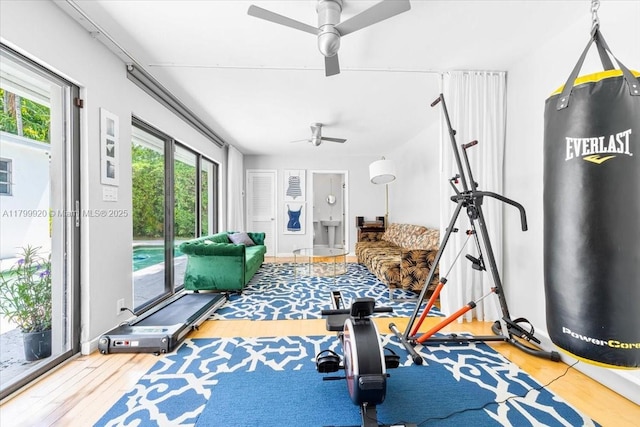 550 NE 94th St, Miami Shores, FL 33138 - photo 20
