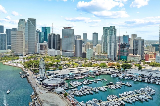 244 Biscayne Blvd Unit 645, Miami, FL 33132 - drone / aerial view of numerous boat docks and skyline