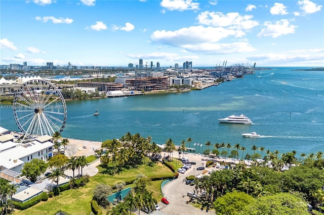 244 Biscayne Blvd Unit 645, Miami, FL 33132 - water view featuring a skyline view