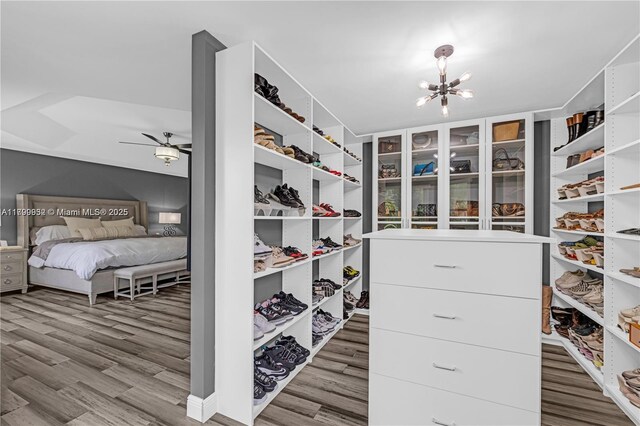 3372 SW 179th Ave, Miramar, FL 33029 - spacious closet with wood finished floors, a chandelier, and a ceiling fan