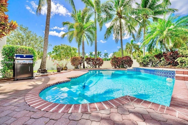 3372 SW 179th Ave, Miramar, FL 33029 - view of swimming pool featuring a fenced backyard, a patio, and a grill