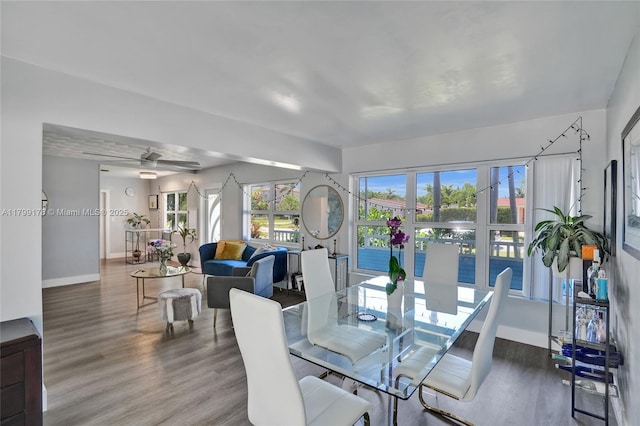 1155 Hayes St, Hollywood, FL 33019 - dining room with wood finished floors, baseboards, and a ceiling fan