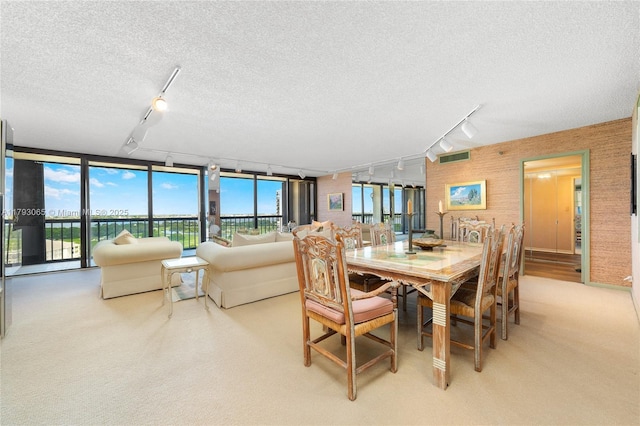 2450 Presidential Way Unit 1607, West Palm Beach, FL 33401 - carpeted dining space with rail lighting, a textured ceiling, and healthy amount of natural light