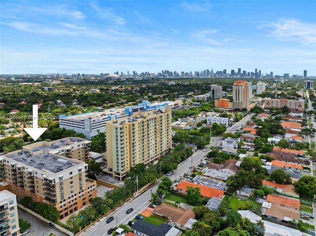 aerial view of a view of skyline