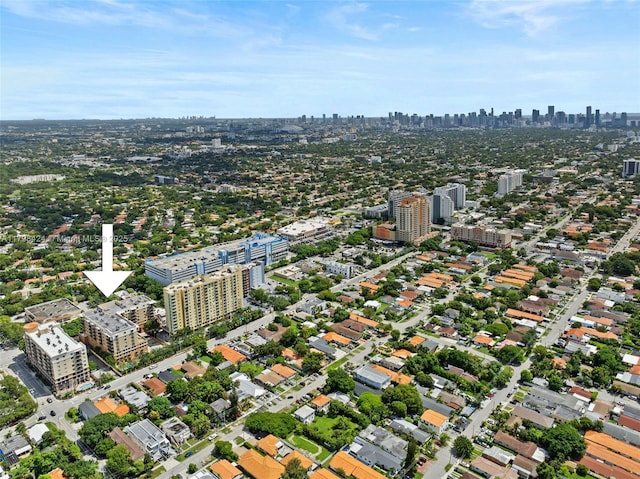 aerial view of a skyline view