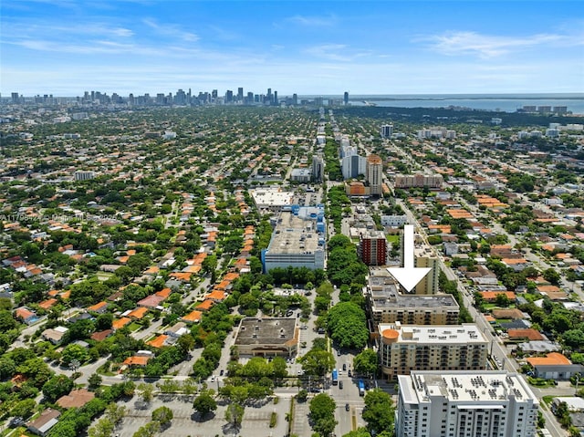 drone / aerial view of a skyline view