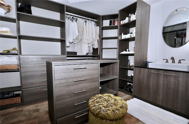 walk in closet featuring dark wood-style floors and a sink