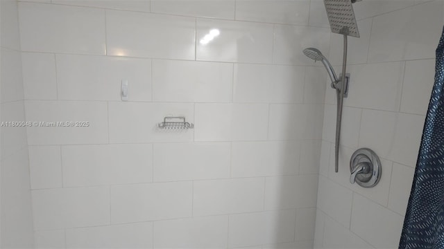 1720 NW N River Dr Unit 113, Miami, FL 33125 - bathroom view of tiled shower
