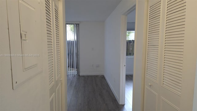 1720 NW N River Dr Unit 113, Miami, FL 33125 - corridor featuring baseboards and dark wood-style flooring