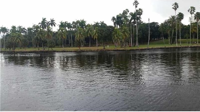1720 NW N River Dr Unit 113, Miami, FL 33125 - water view with a heavily wooded area