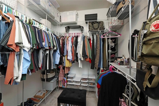 8897 SW 229th St, Cutler Bay, FL 33190 - walk in closet with carpet