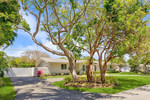 ranch-style house featuring driveway and stucco siding