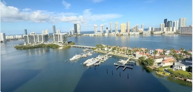 water view with a skyline view
