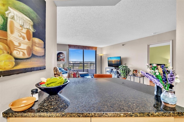 3300 NE 191st St Unit Lp04, Aventura, FL 33180 - kitchen with a textured ceiling