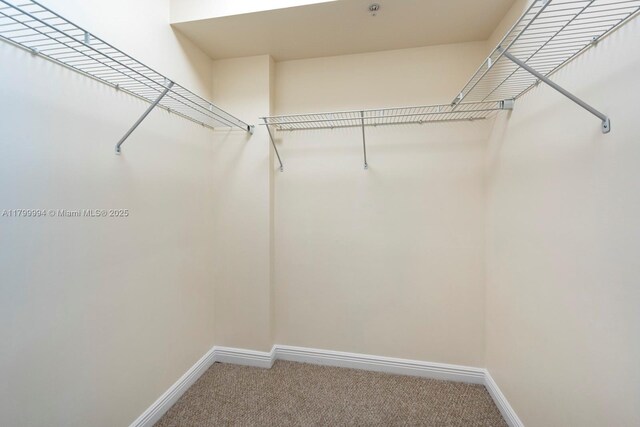 1745 E Hallandale Beach Blvd Unit 1903W, Hallandale Beach, FL 33009 - spacious closet with carpet floors