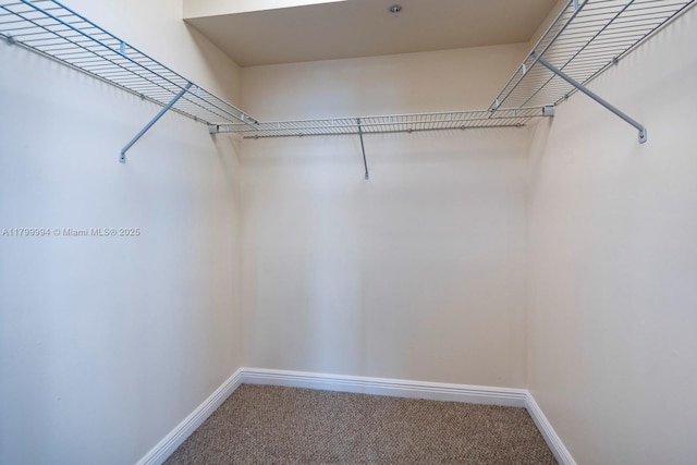 1745 E Hallandale Beach Blvd Unit 1903W, Hallandale Beach, FL 33009 - spacious closet featuring carpet floors
