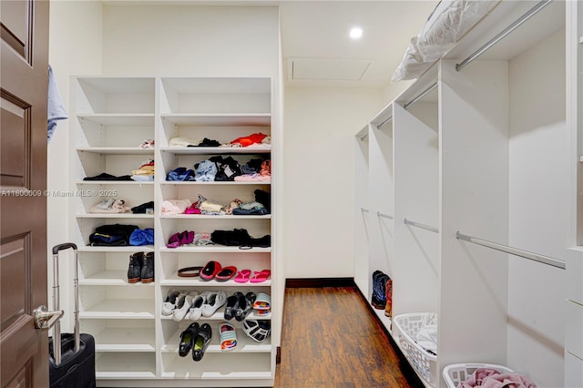 9015 NW 161st Ter, Miami Lakes, FL 33018 - walk in closet with dark wood finished floors and attic access