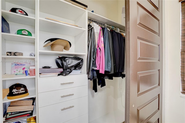 9015 NW 161st Ter, Miami Lakes, FL 33018 - view of walk in closet