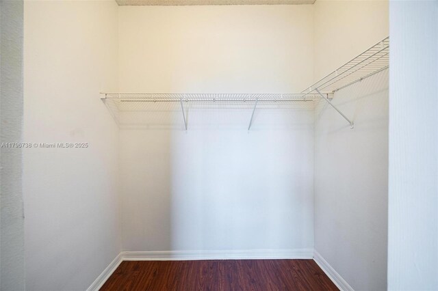 2252 NE 42nd Cir, Homestead, FL 33033 - walk in closet featuring dark wood-style floors