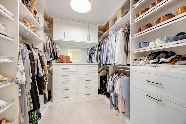 view of spacious closet