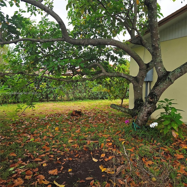 12900 SW 81st St, Kendall, FL 33183 - view of yard