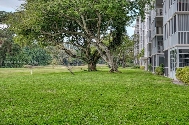 view of green lawn