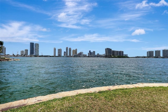 water view featuring a view of skyline