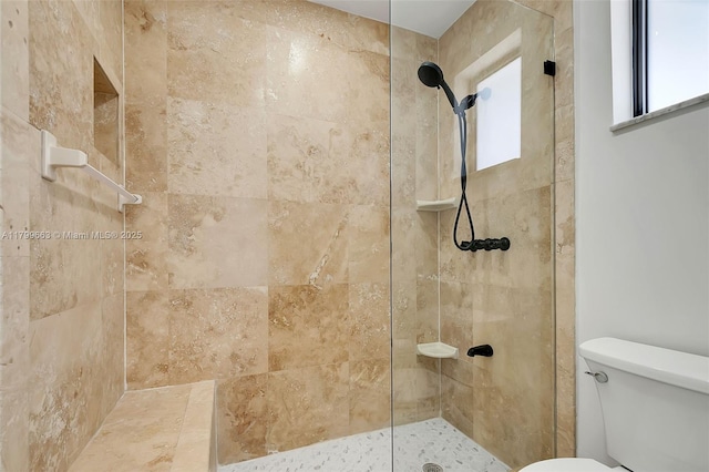 9494 SW 144th St, Miami, FL 33176 - bathroom with toilet and tiled shower