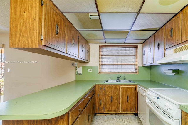 kitchen featuring white appliances, under cabinet range hood, a sink, brown cabinetry, and a paneled ceiling