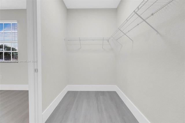 4251 SW 131st Ln Unit 4104, Miramar, FL 33027 - photo 13