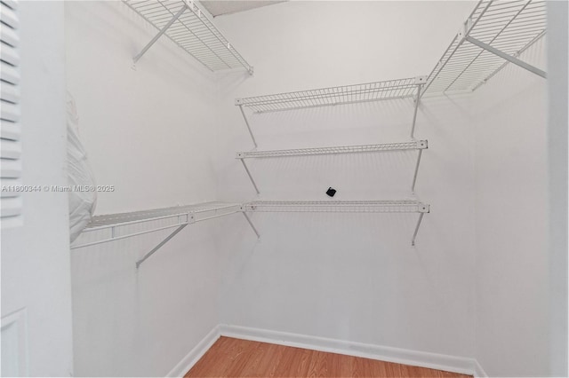 300 SW 134th Way Unit 413E, Pembroke Pines, FL 33027 - walk in closet featuring light wood-type flooring
