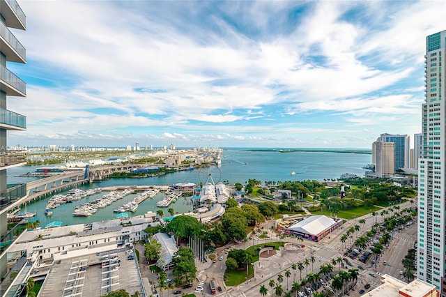 398 NE 5th St Unit 2415, Miami, FL 33132 - water view featuring numerous boat docks and nearby urban area