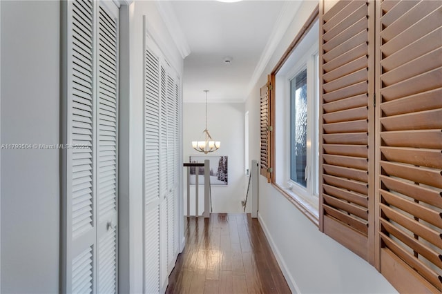 4830 San Amaro Dr, Coral Gables, FL 33146 - photo 31