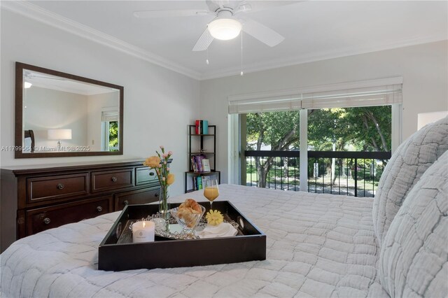 4830 San Amaro Dr, Coral Gables, FL 33146 - photo 32