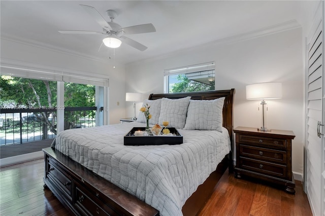 4830 San Amaro Dr, Coral Gables, FL 33146 - photo 34