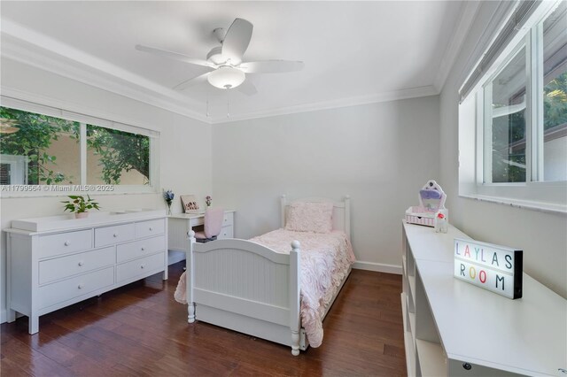 4830 San Amaro Dr, Coral Gables, FL 33146 - photo 37