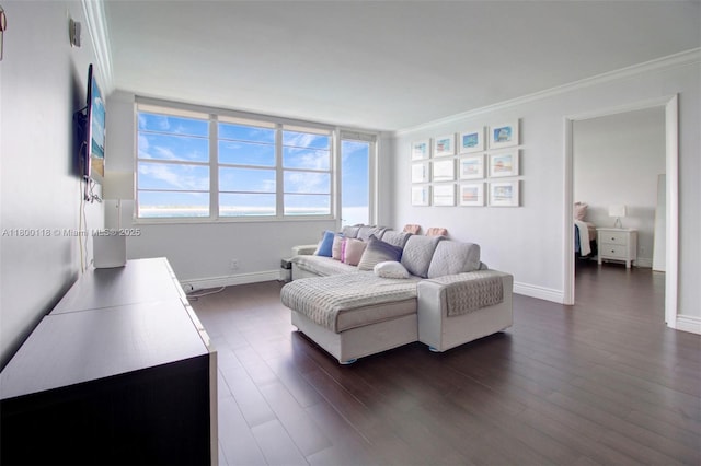 6770 Indian Creek Dr Unit 6O, Miami Beach, FL 33141 - living area with ornamental molding, dark wood-style floors, and baseboards
