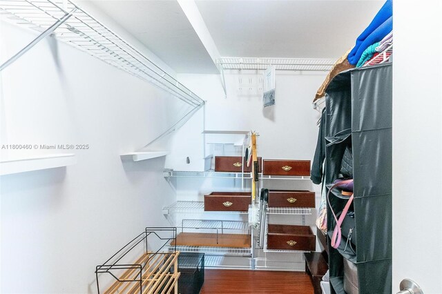 walk in closet with wood finished floors