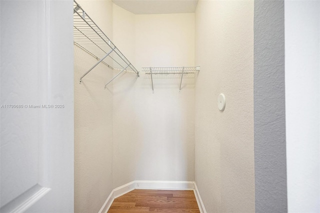 2933 SE 2nd St Unit 20, Homestead, FL 33033 - walk in closet featuring wood finished floors