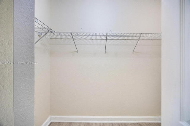 2933 SE 2nd St Unit 20, Homestead, FL 33033 - walk in closet with wood finished floors