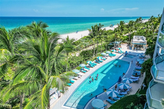 6799 Collins Ave Unit 1602, Miami Beach, FL 33141 - bird's eye view of expansive coastline and a pool area