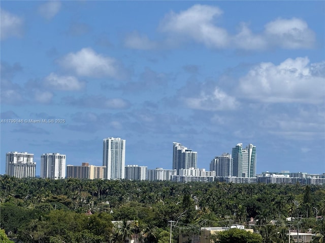1700 Pierce St Unit 702, Hollywood, FL 33020 - photo 23