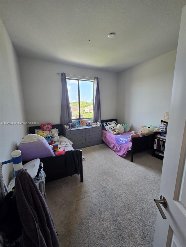 10847 SW 232nd Ter, Homestead, FL 33032 - photo 19