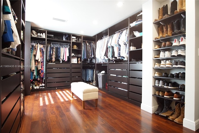 walk in closet featuring wood finished floors