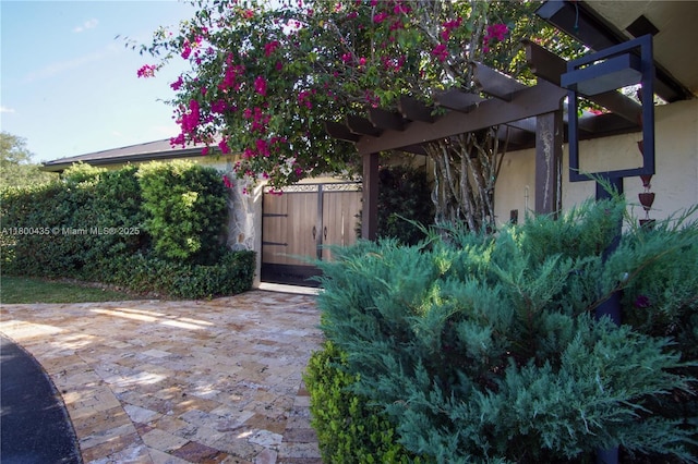 entrance to property featuring stucco siding, a pergola, a gate, and fence