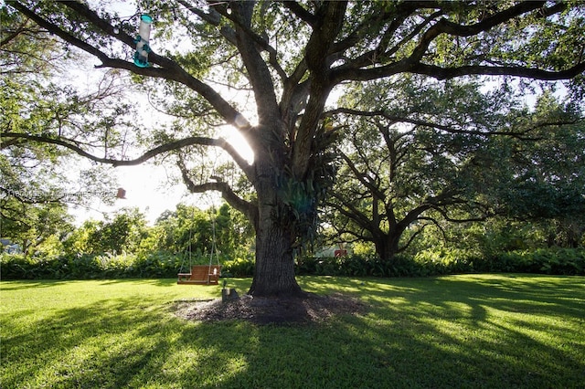 view of green lawn