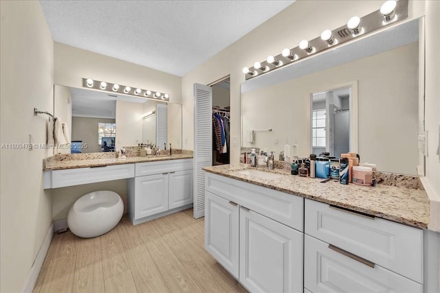 1060 SW 111th Way, Davie, FL 33324 - bathroom with wood finished floors, vanity, a walk in closet, and a textured ceiling